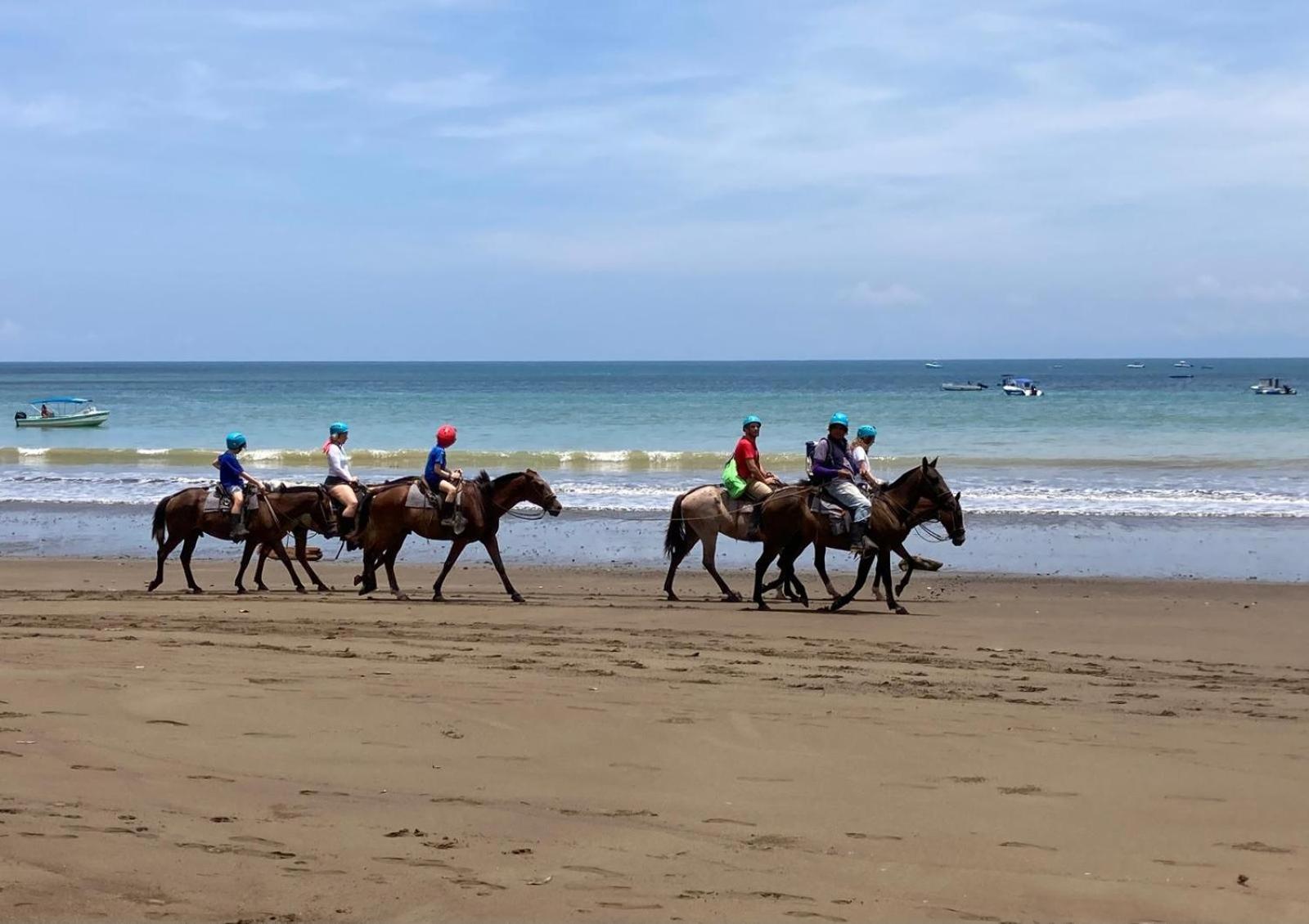 Corcovado & Drake Inn Drakes Bay 外观 照片